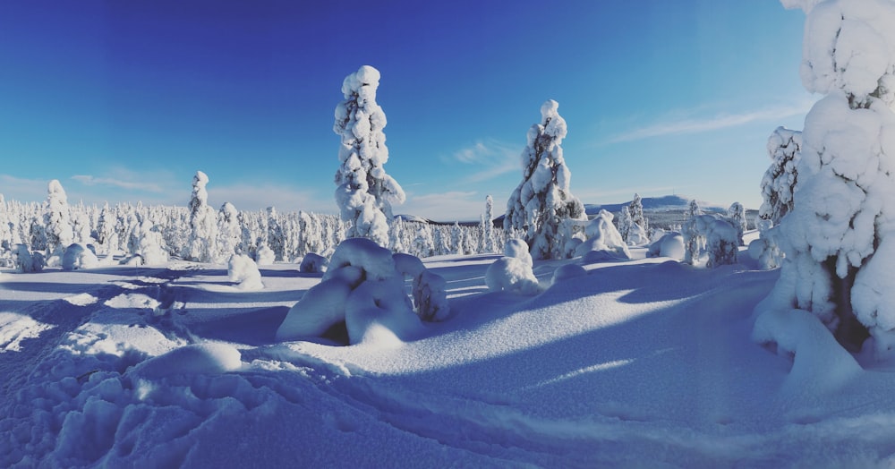 city covered snow during daytime