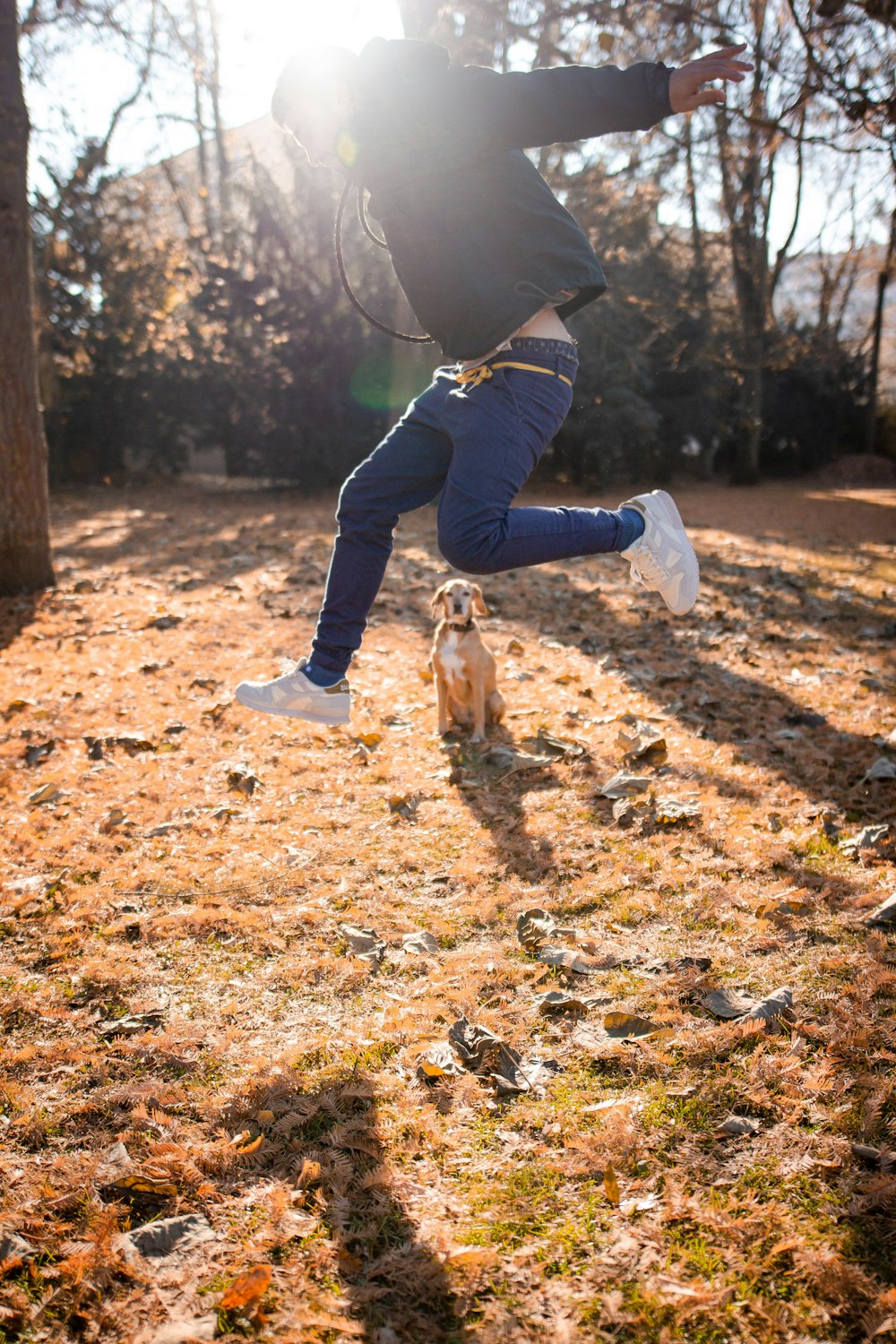 man jumps above tan dog