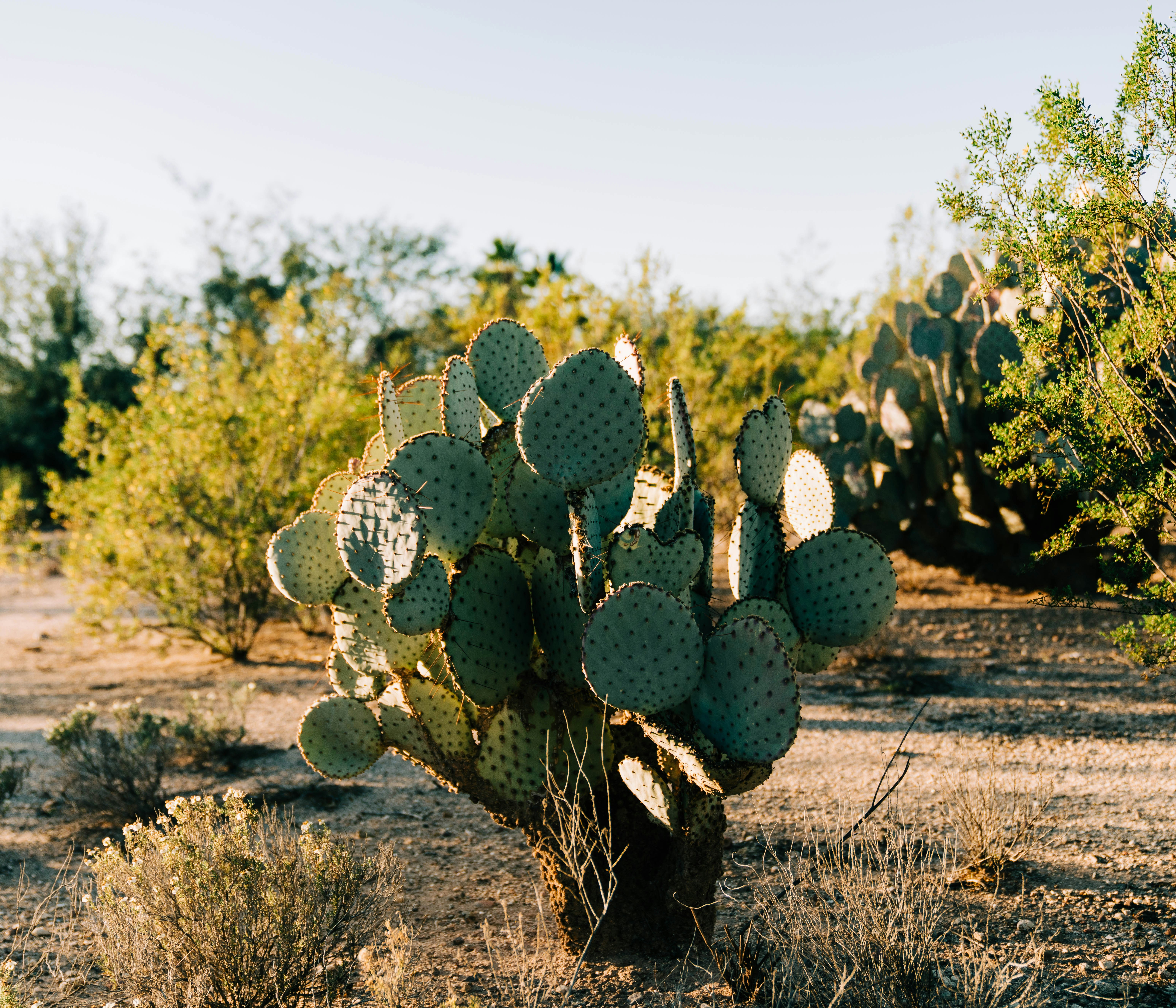 Photo by firedorange717