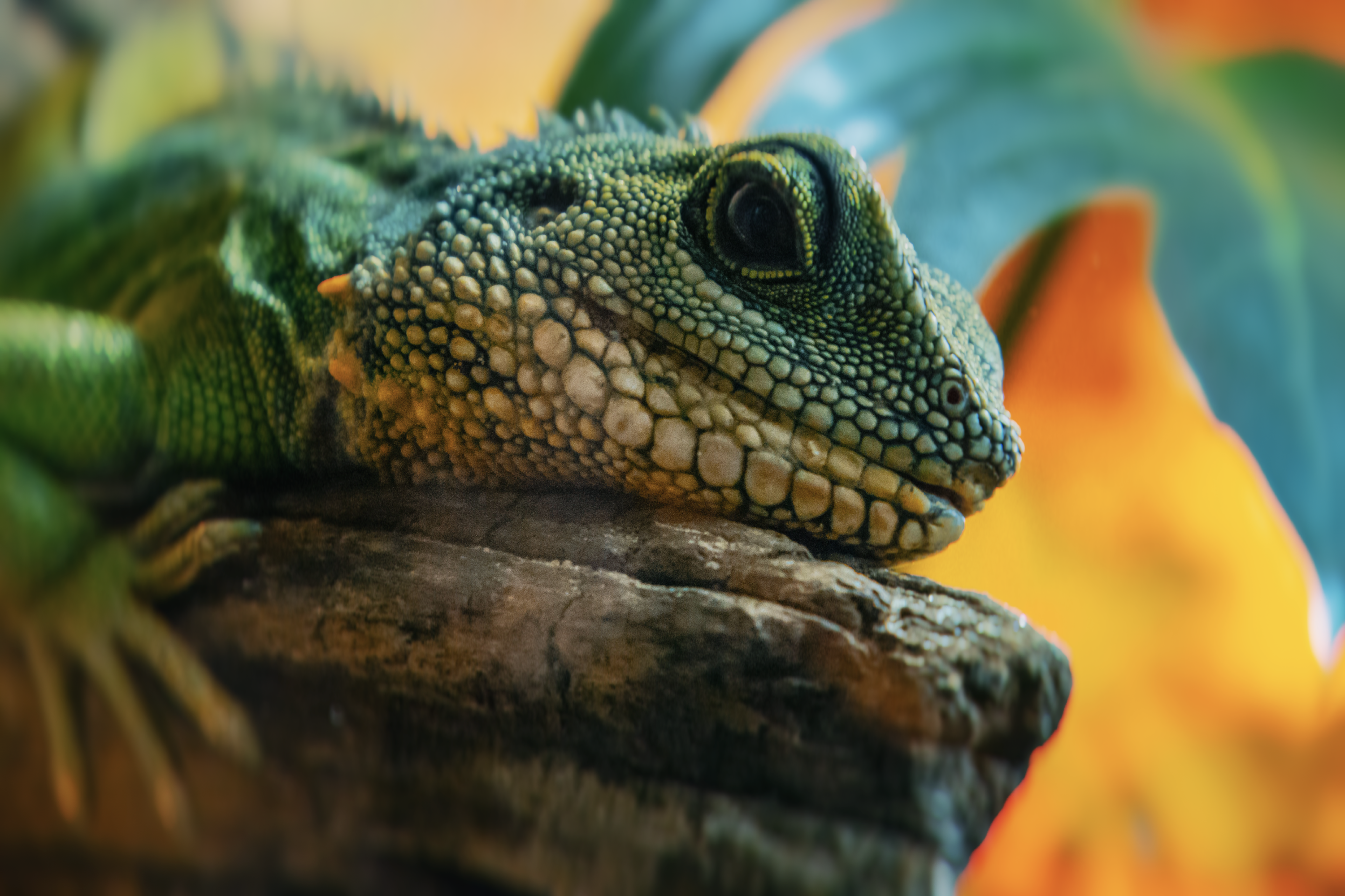 Temperature gradient diagram