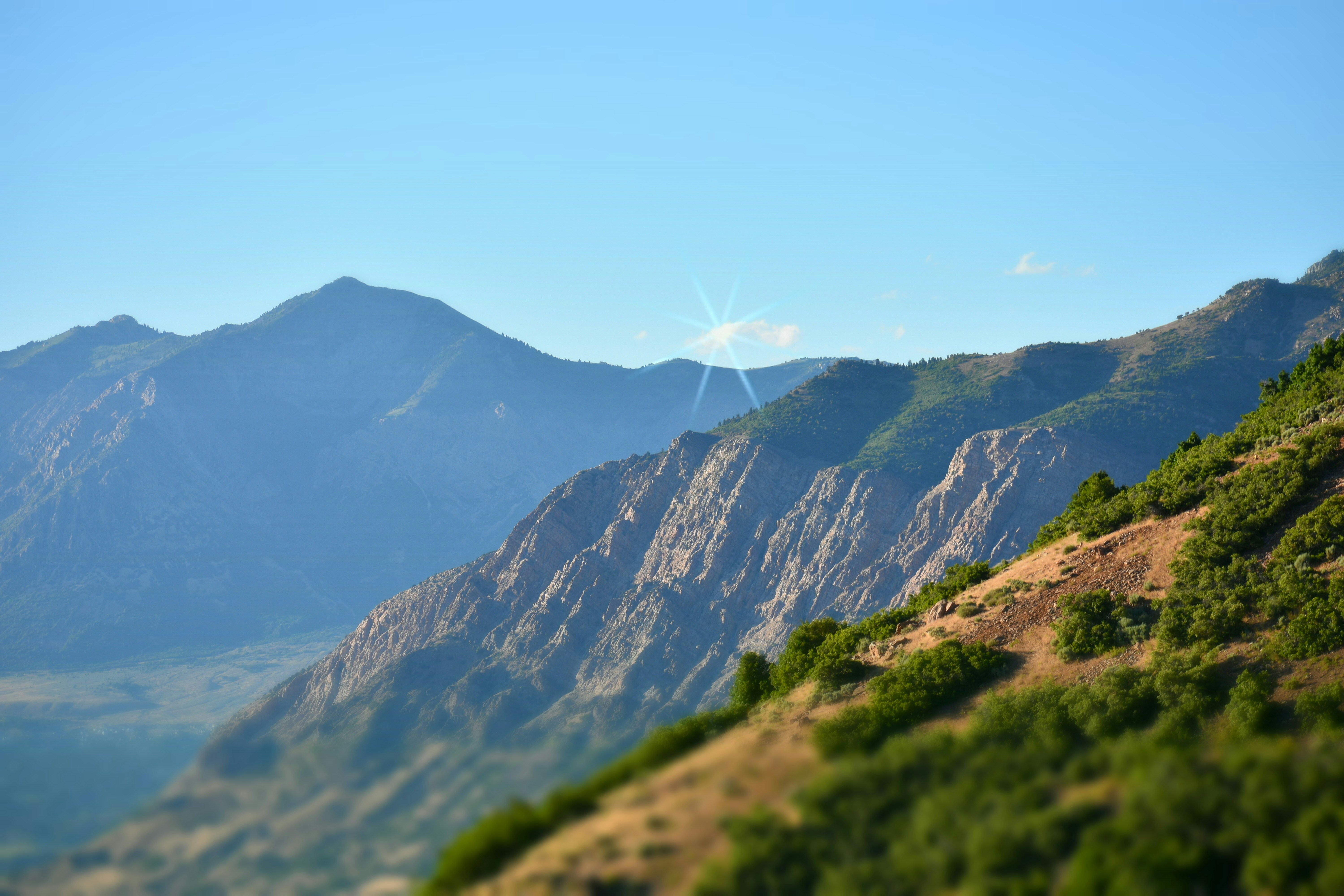 Photo by probably__chris