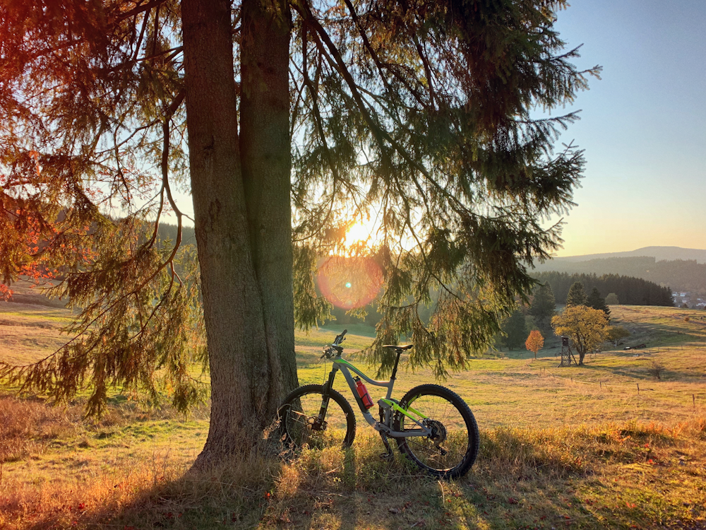 hiking bike parked beside tree during day