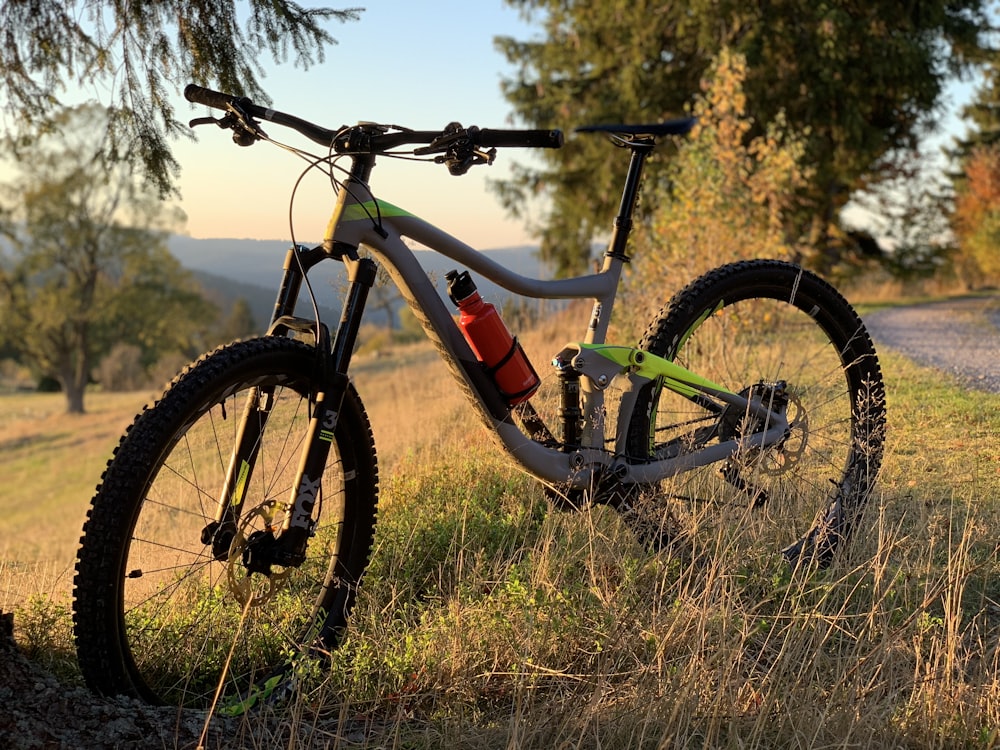 gray hardtail bike