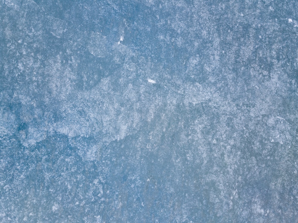 blue and white floral textile