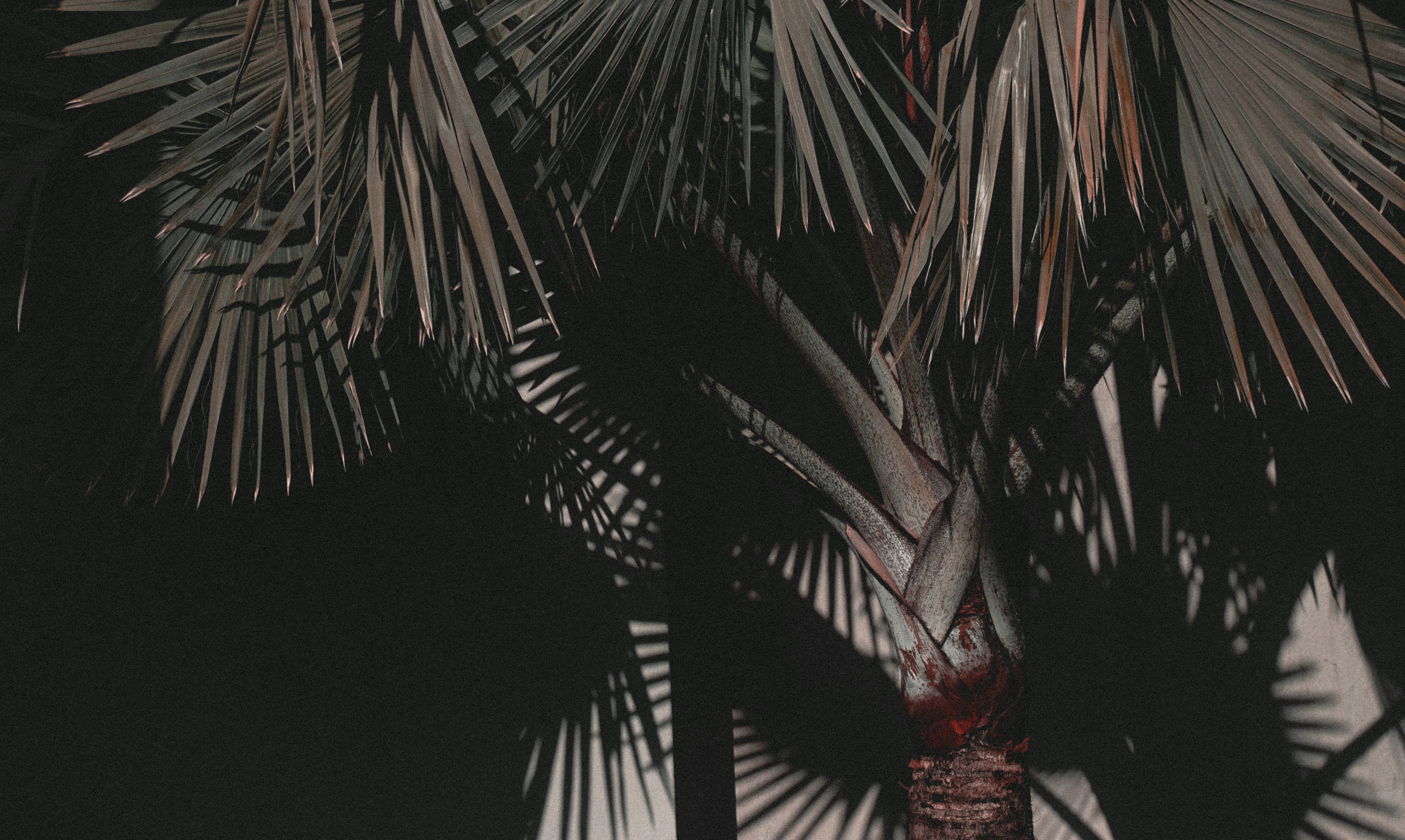 Photo by ethanelisara