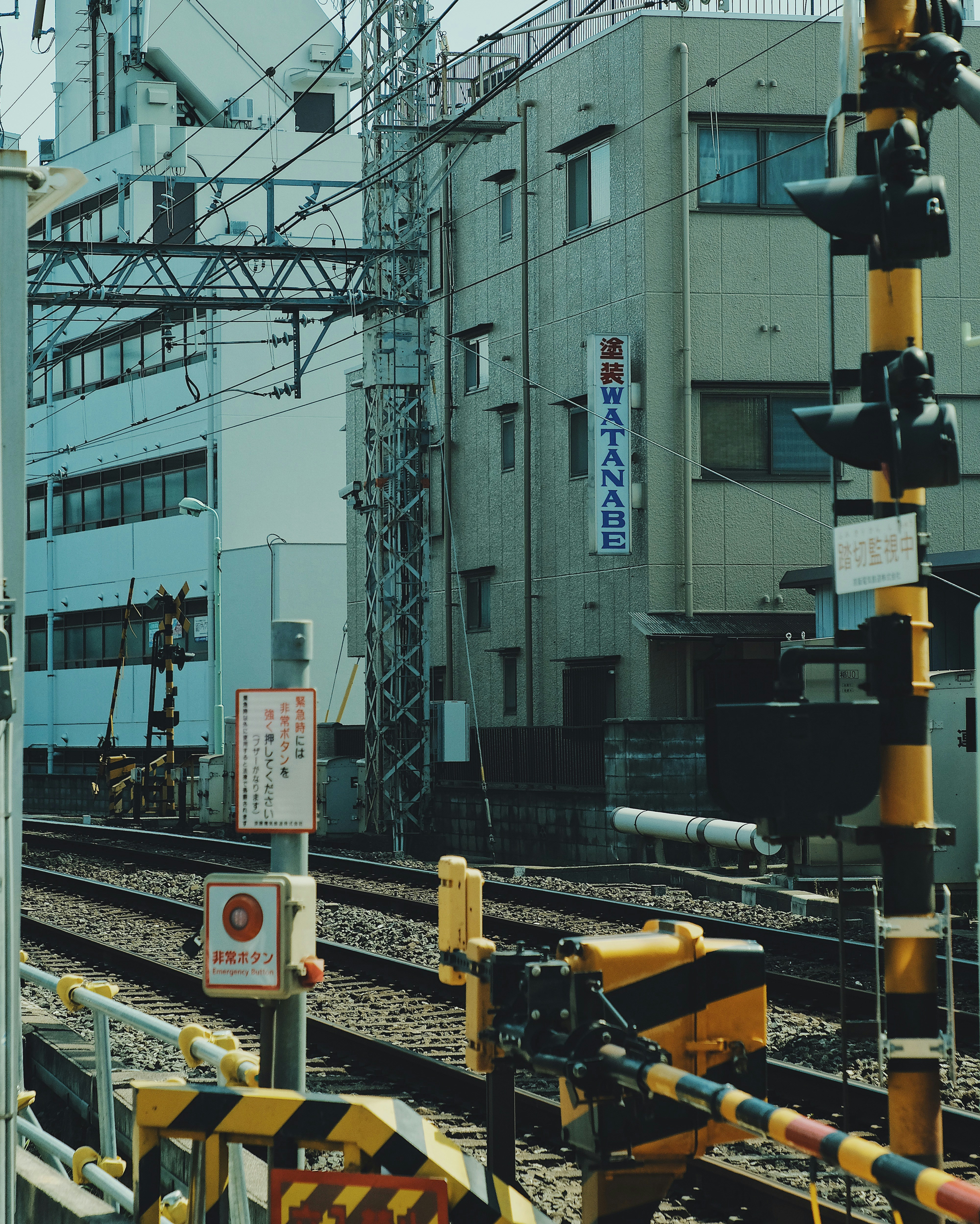 Photo by dynamicwang