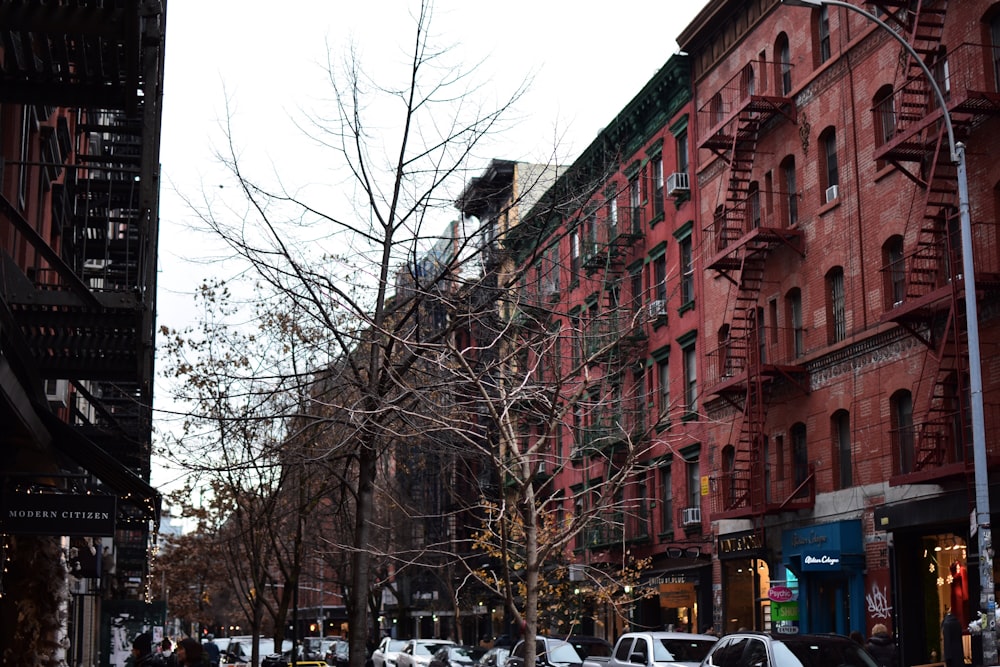 bare tree near maroon painted building