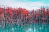 Hokkaido à couper le souffle