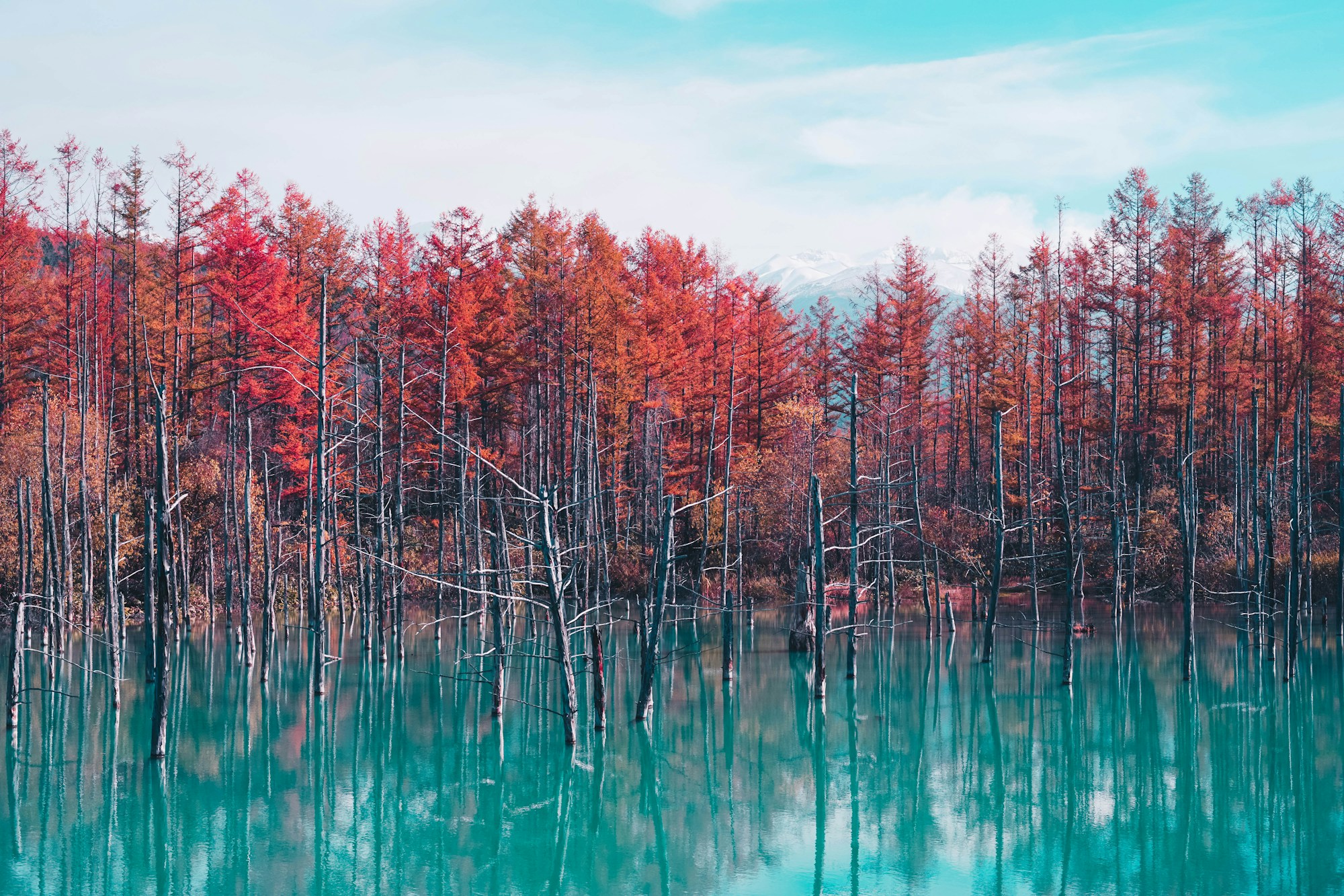 What to see in Hokkaido: Travel Guide & Highlights