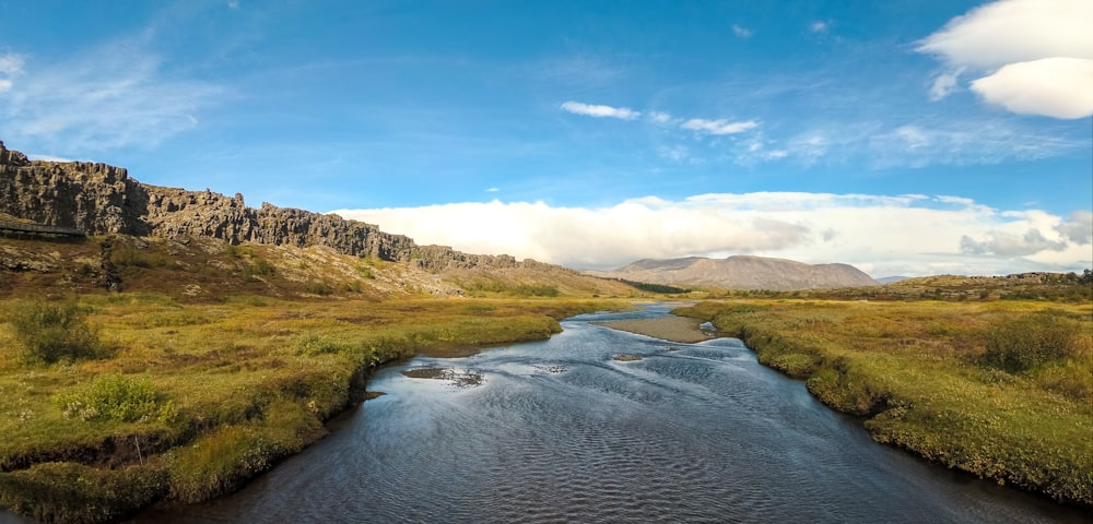 Grünes Grasfeld in der Nähe des Sees unter blauem Himmel tagsüber