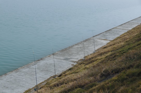 Fishing rods are lined up along a concrete walkway beside a calm body of water, with a grassy slope on one side.