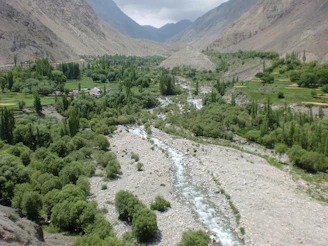 A serene mountain valley with lush greenery symbolizing Kedarkhand's natural heritage.