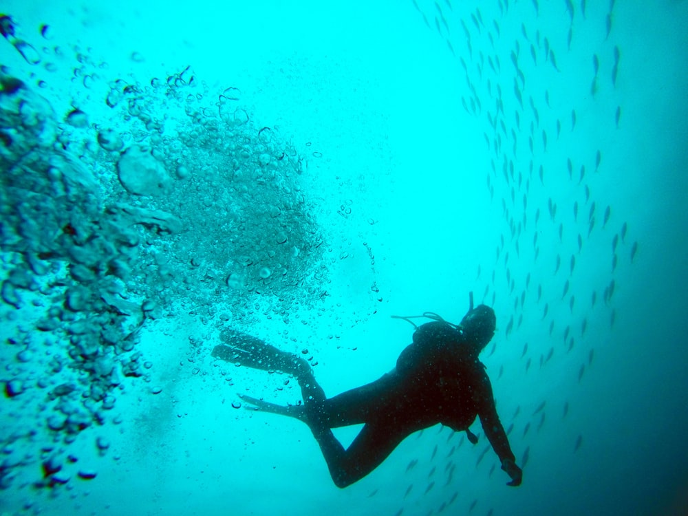 black diver photo