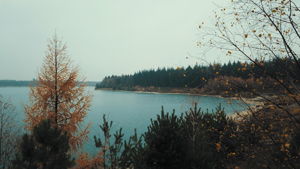 calm body of water during daytime