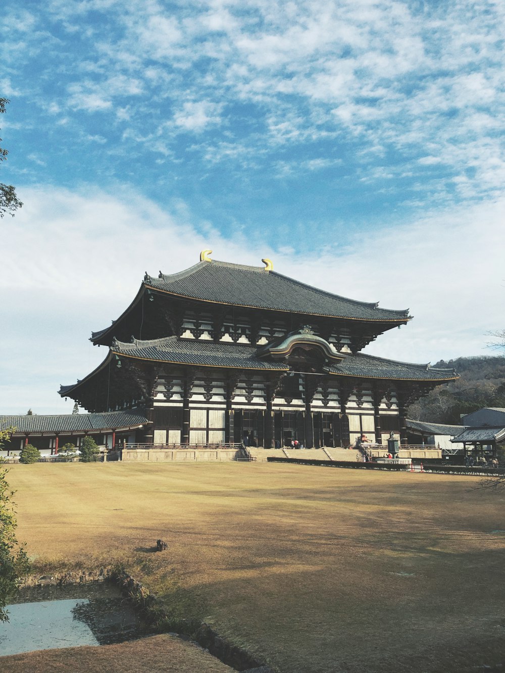 Tōdai-ji Temple, Japan during daytime
