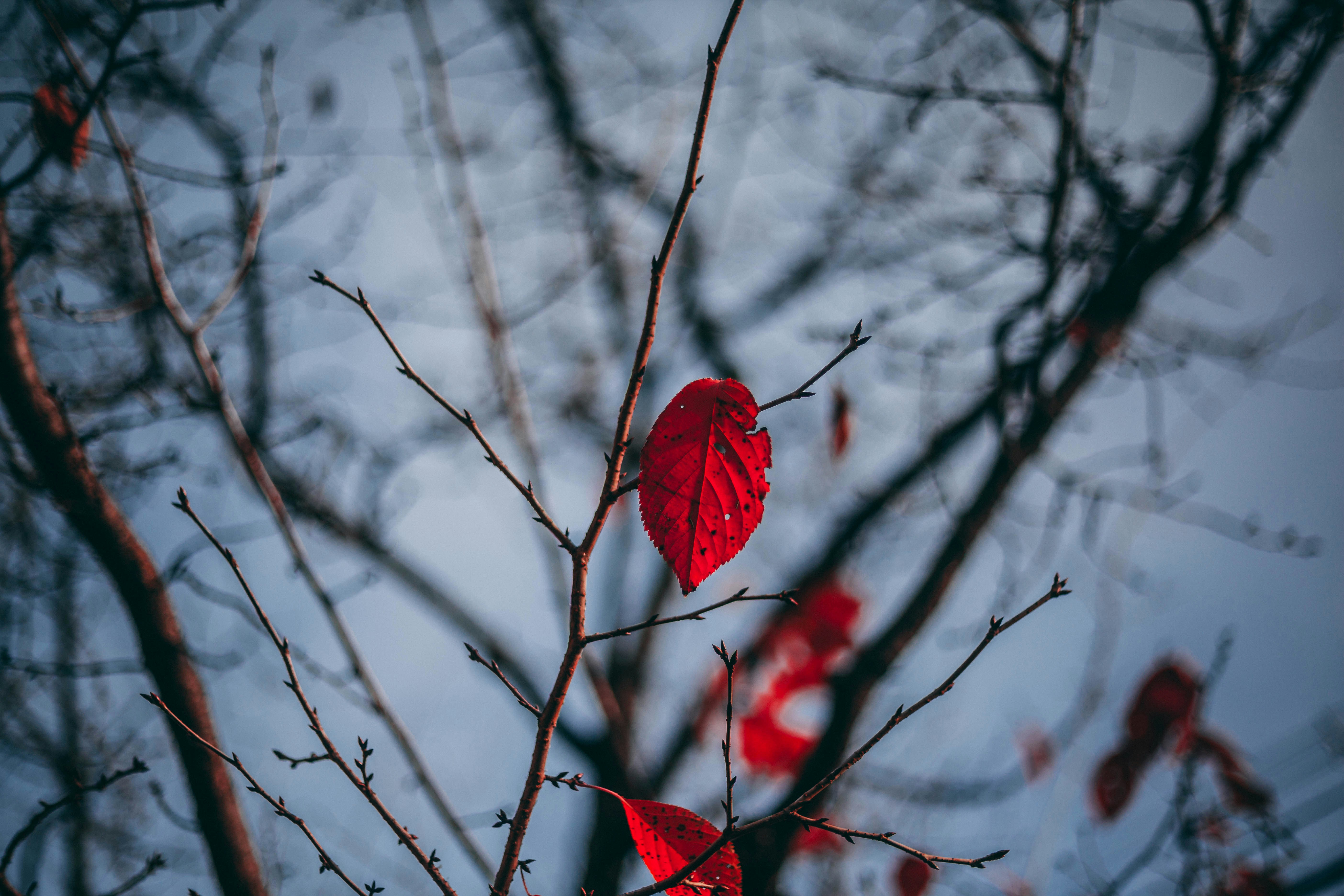 Photo by charlespostiaux