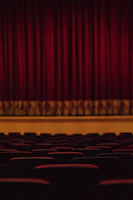 Artisanal theater space featuring deep crimson curtains with subtle acoustic treatments.