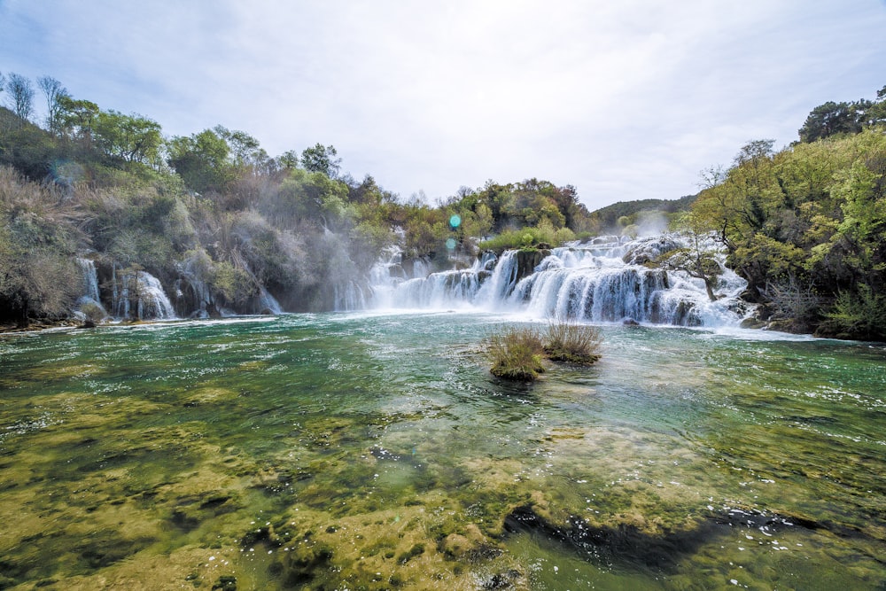 waterfalls and trees