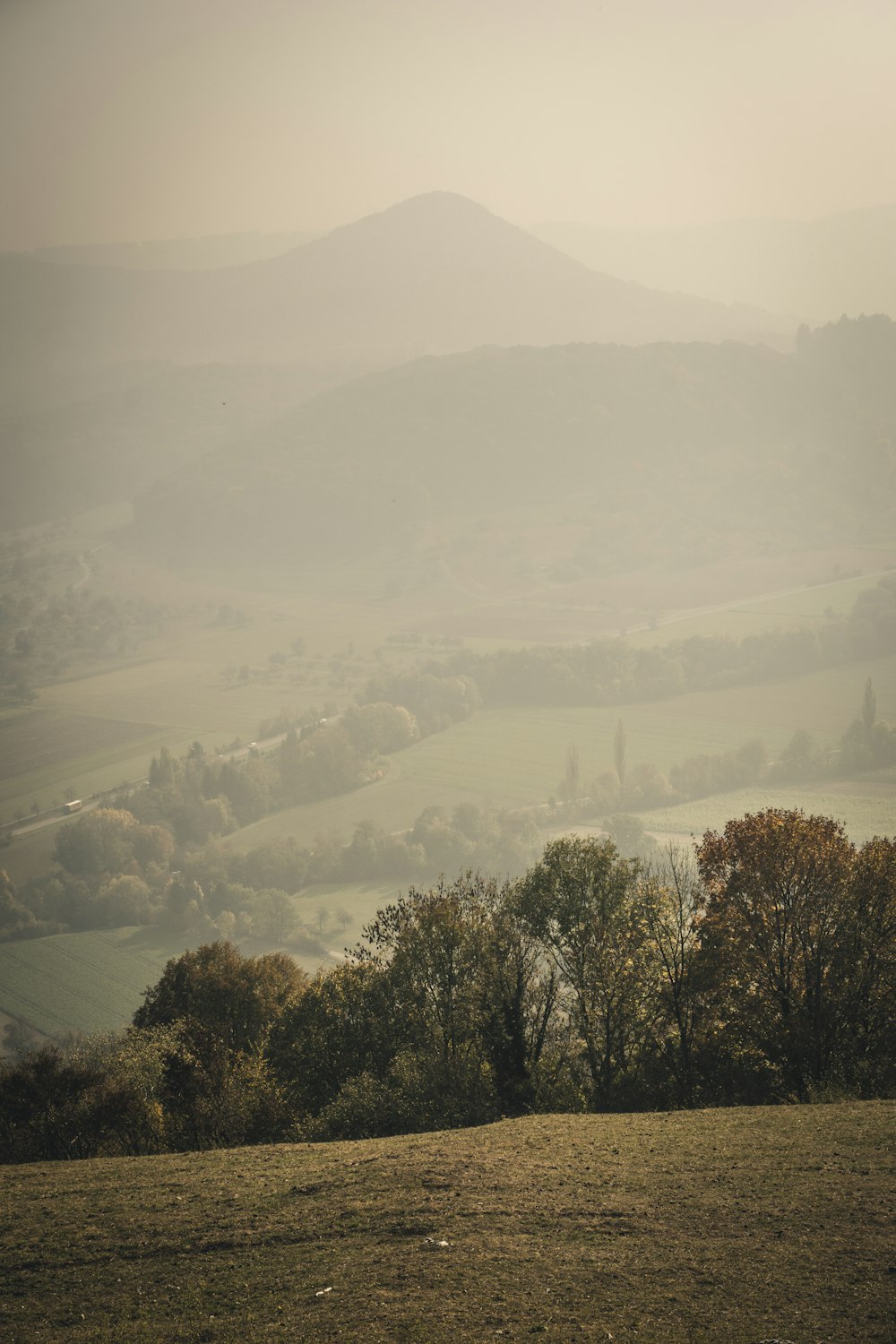 trees and green grass covered mountain