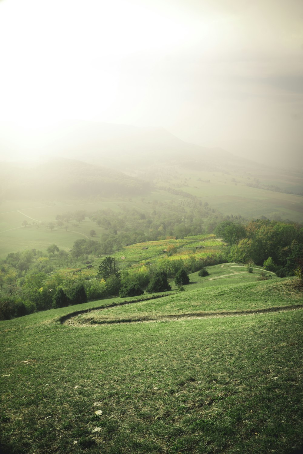 road traversing green fields during foggy weather