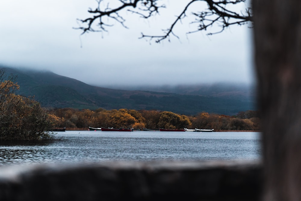 body of water near mountain