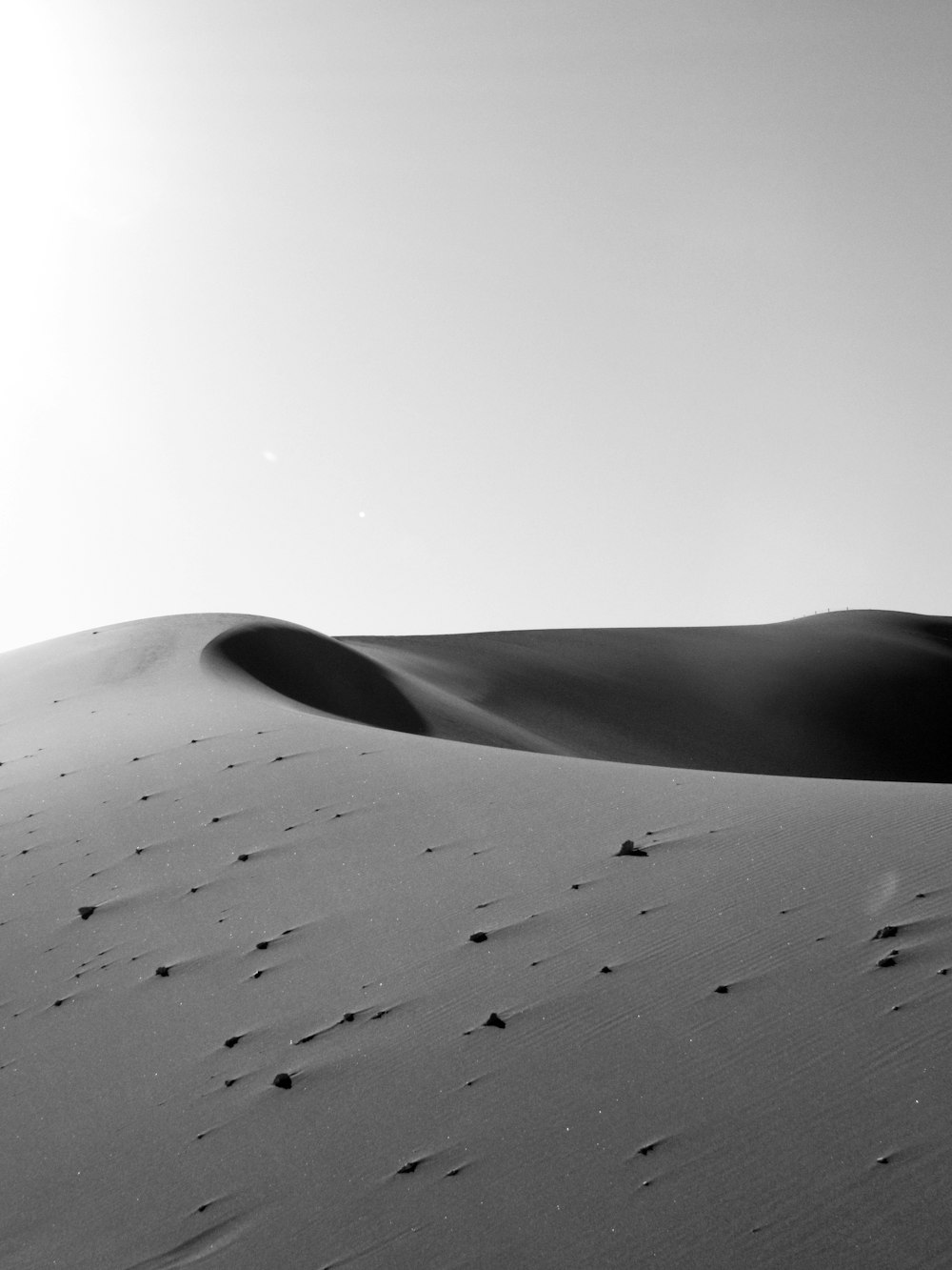 desert photo during dawn