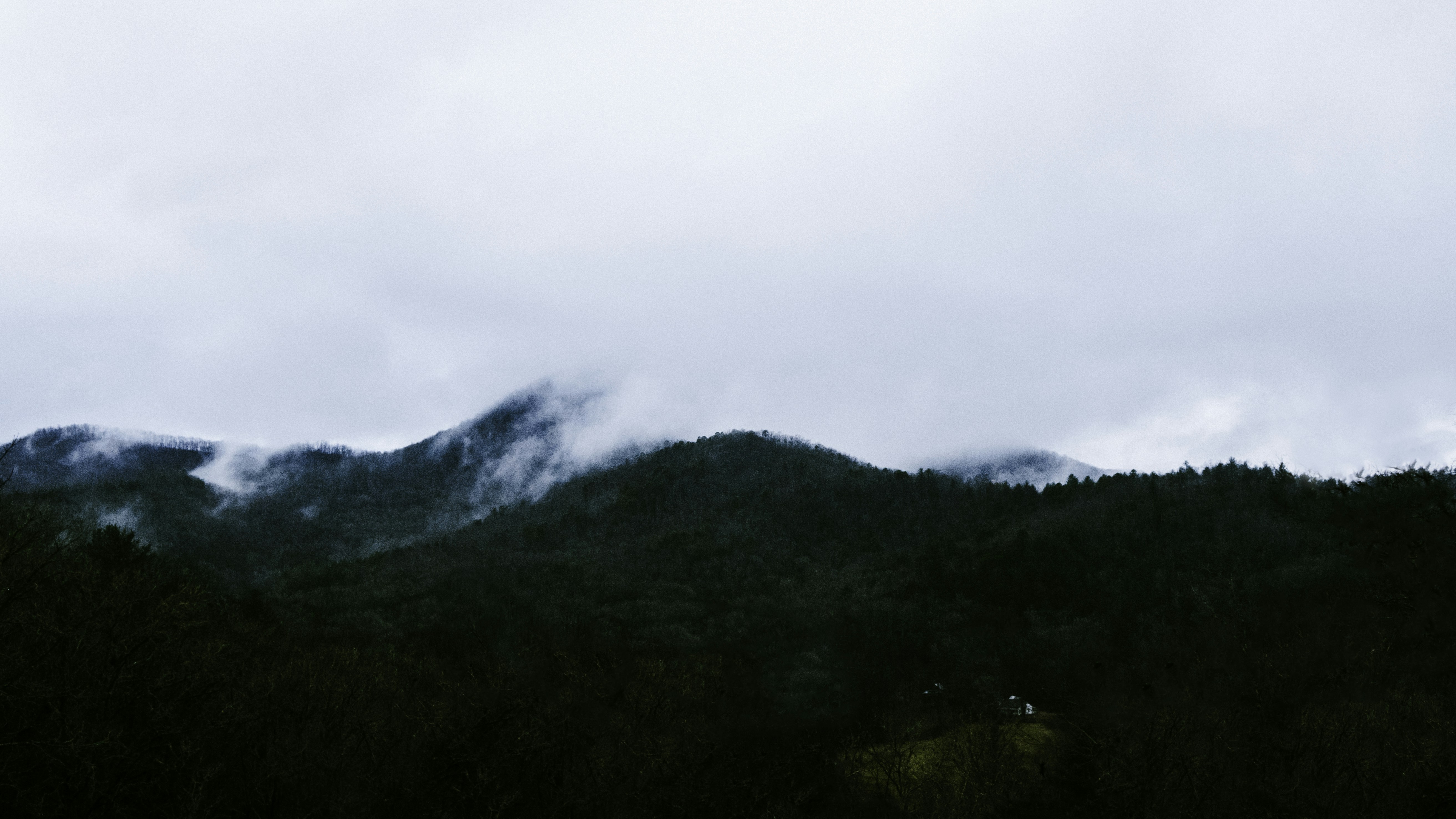 Photo by whitfieldjordan