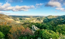 green mountains