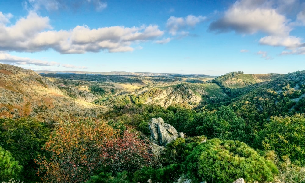 montañas verdes