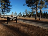 A camping area sign labeled 'Zona de Acampar Kiliwa' is situated among tall trees with scattered pine needles on the ground. The area is open and expansive, with a road running through it and large rocks scattered around.