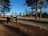 A camping area sign labeled 'Zona de Acampar Kiliwa' is situated among tall trees with scattered pine needles on the ground. The area is open and expansive, with a road running through it and large rocks scattered around.