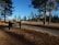 A camping area sign labeled 'Zona de Acampar Kiliwa' is situated among tall trees with scattered pine needles on the ground. The area is open and expansive, with a road running through it and large rocks scattered around.