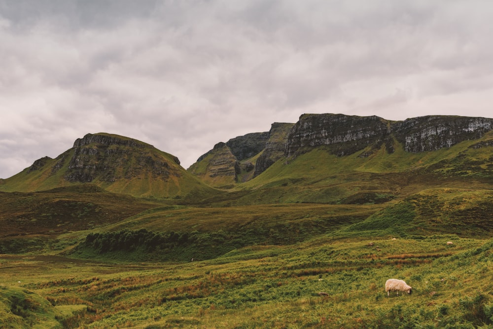 nature photography of grassy mountain under cloudy sky during daytime