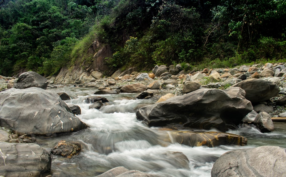 stream flowing near grey rocks
