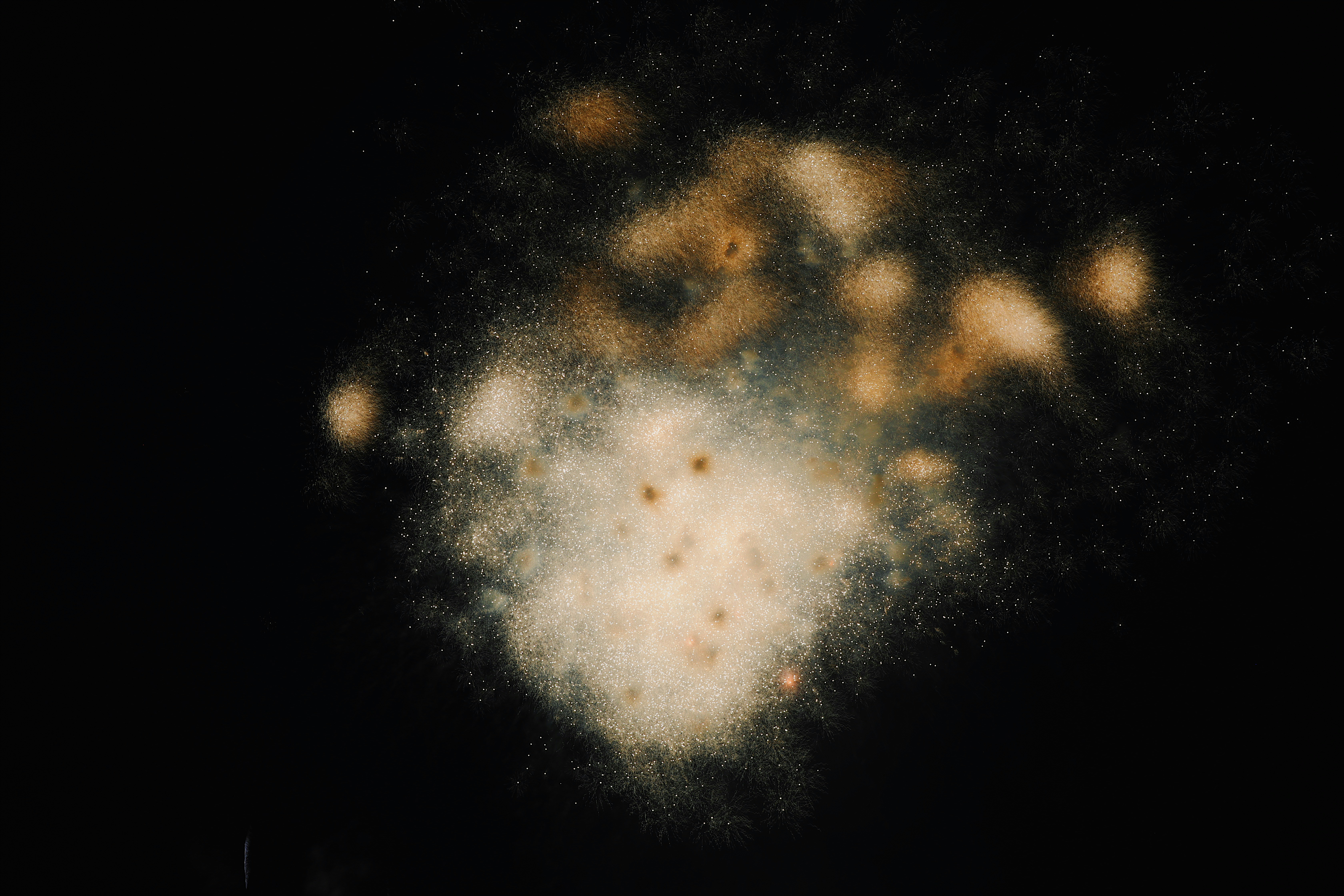 white and brown lights