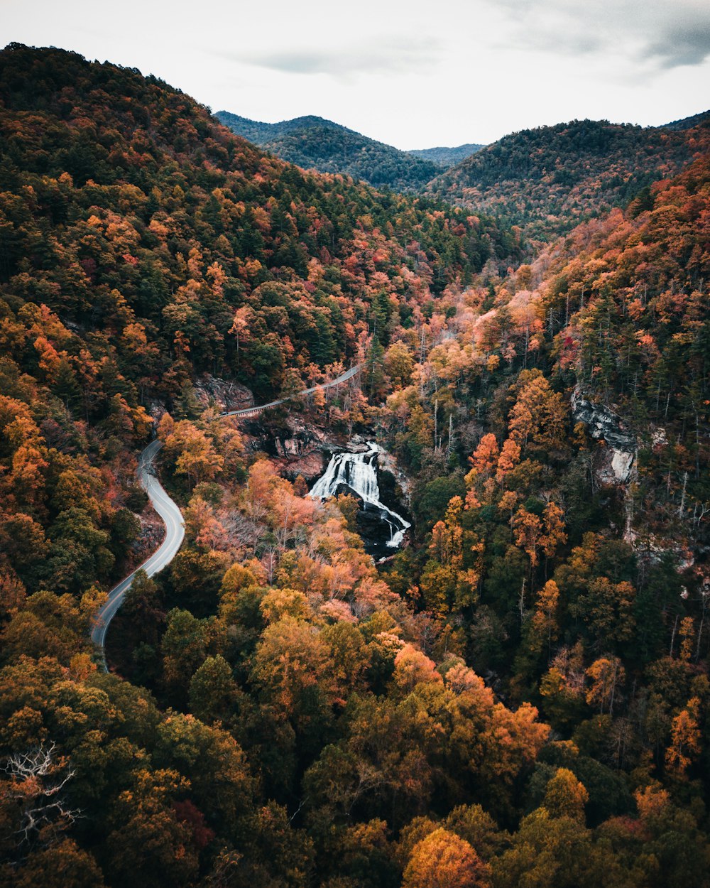 aerial photography of road between forest during daytime