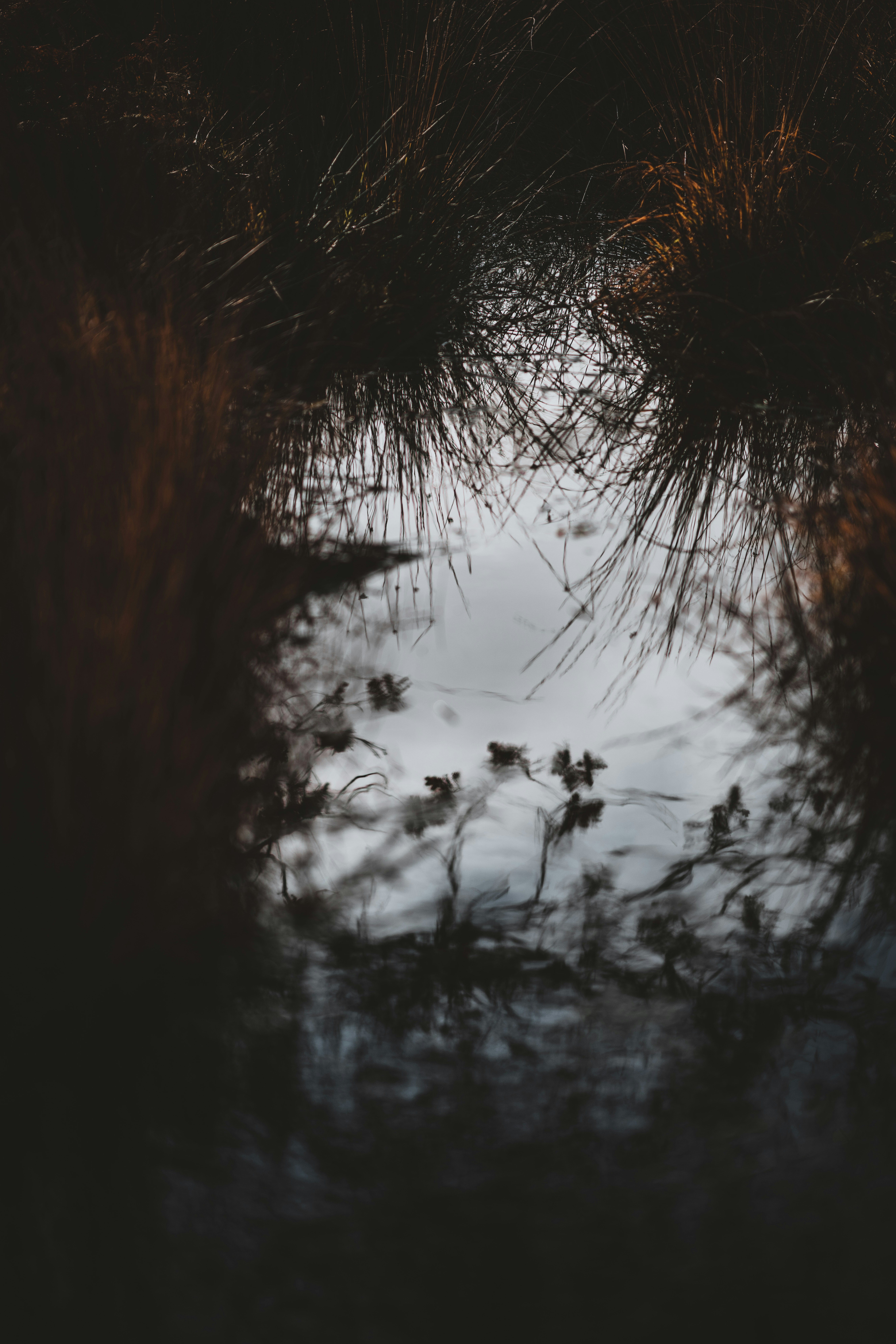 Photo by anniespratt