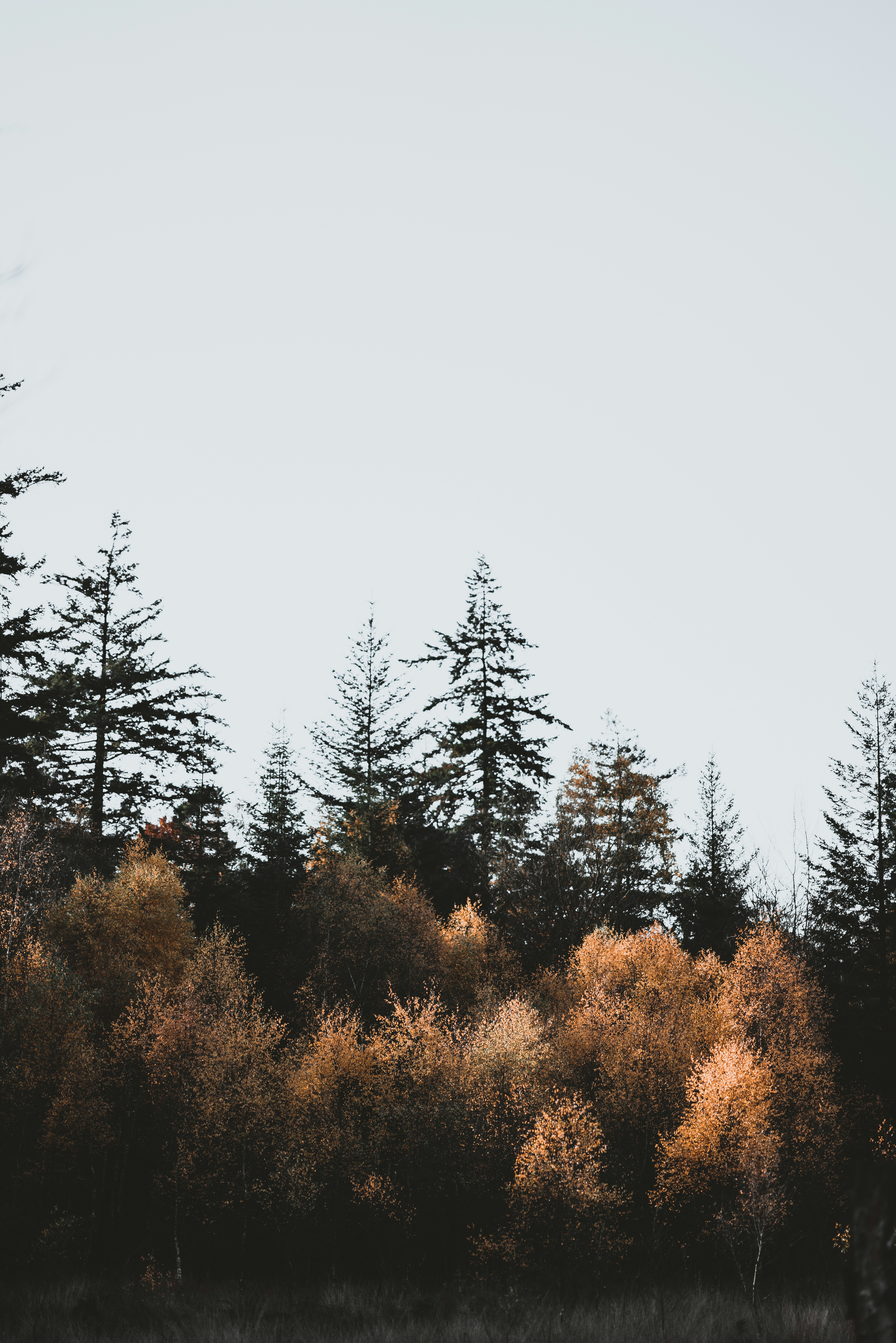 Photo by anniespratt