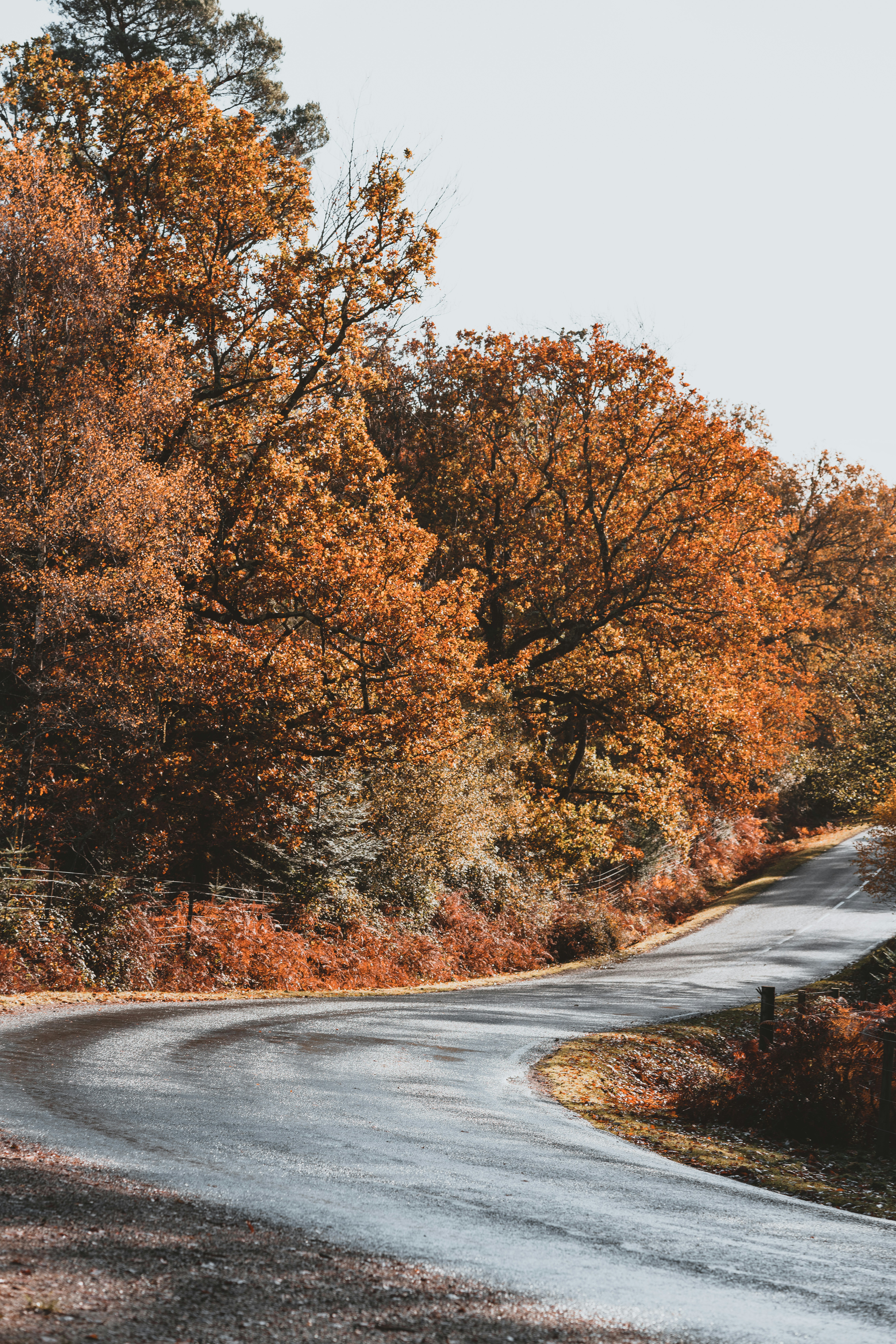 Photo by anniespratt