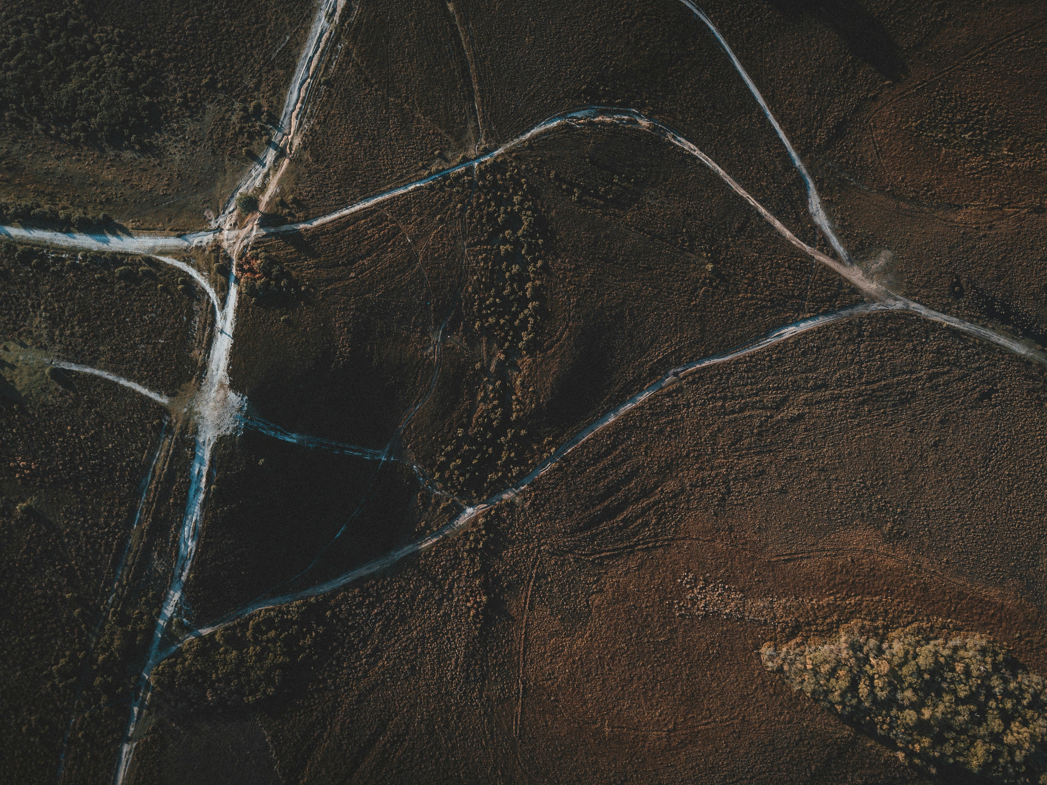 Photo by anniespratt