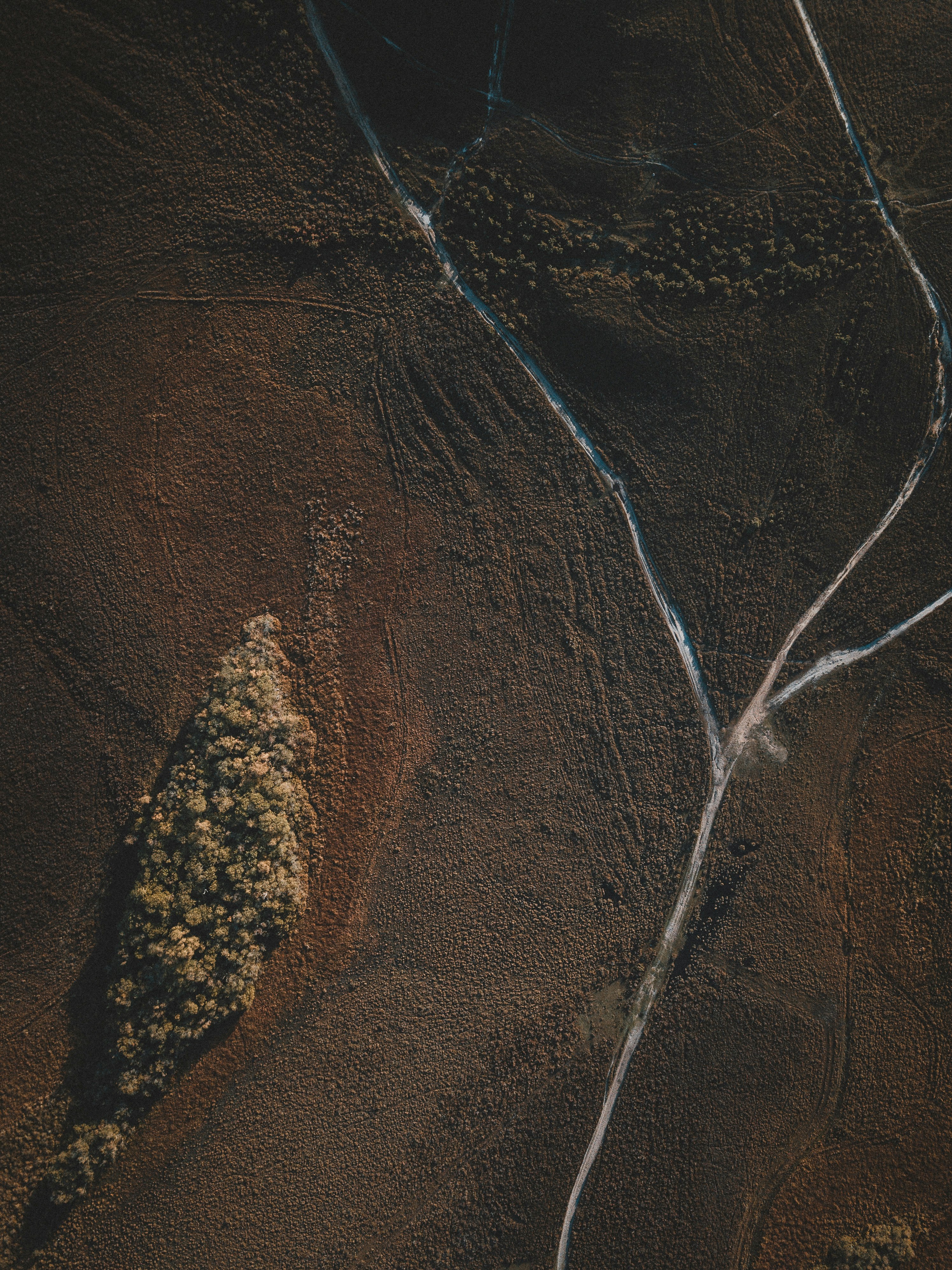 aerial photography of brown field during daytime