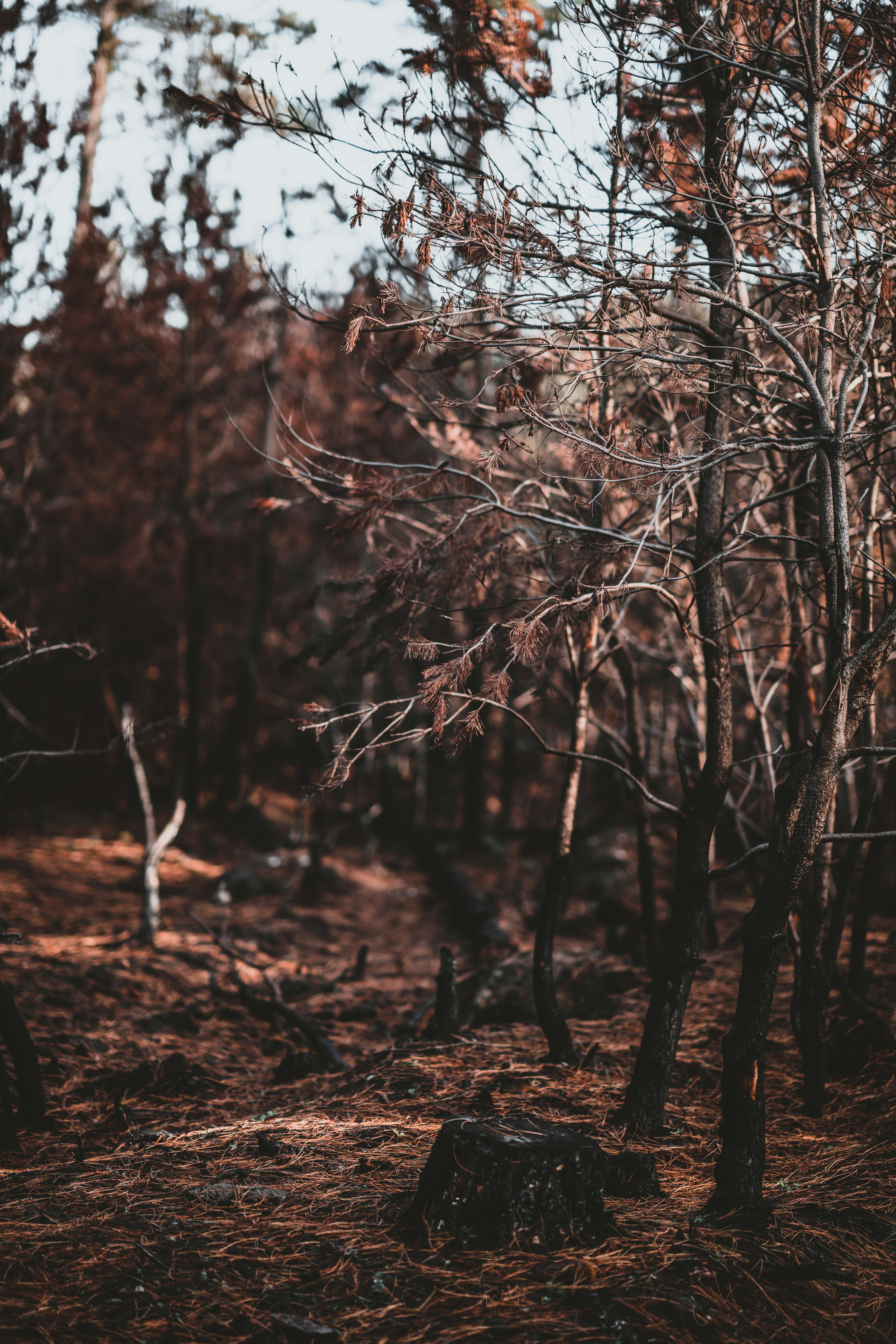 Photo by anniespratt