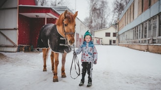 boy standing beside brown horse