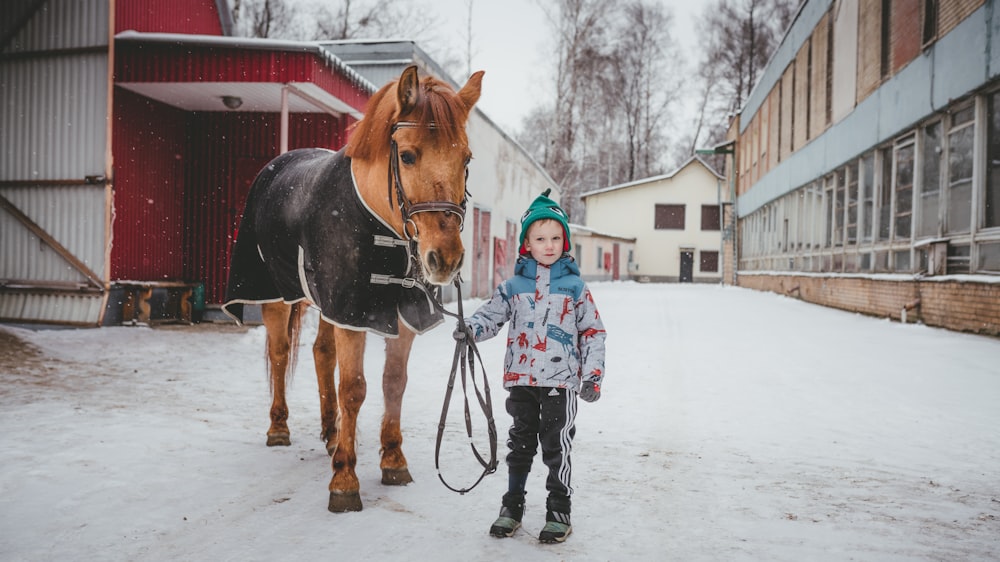 boy standing beside brown horse