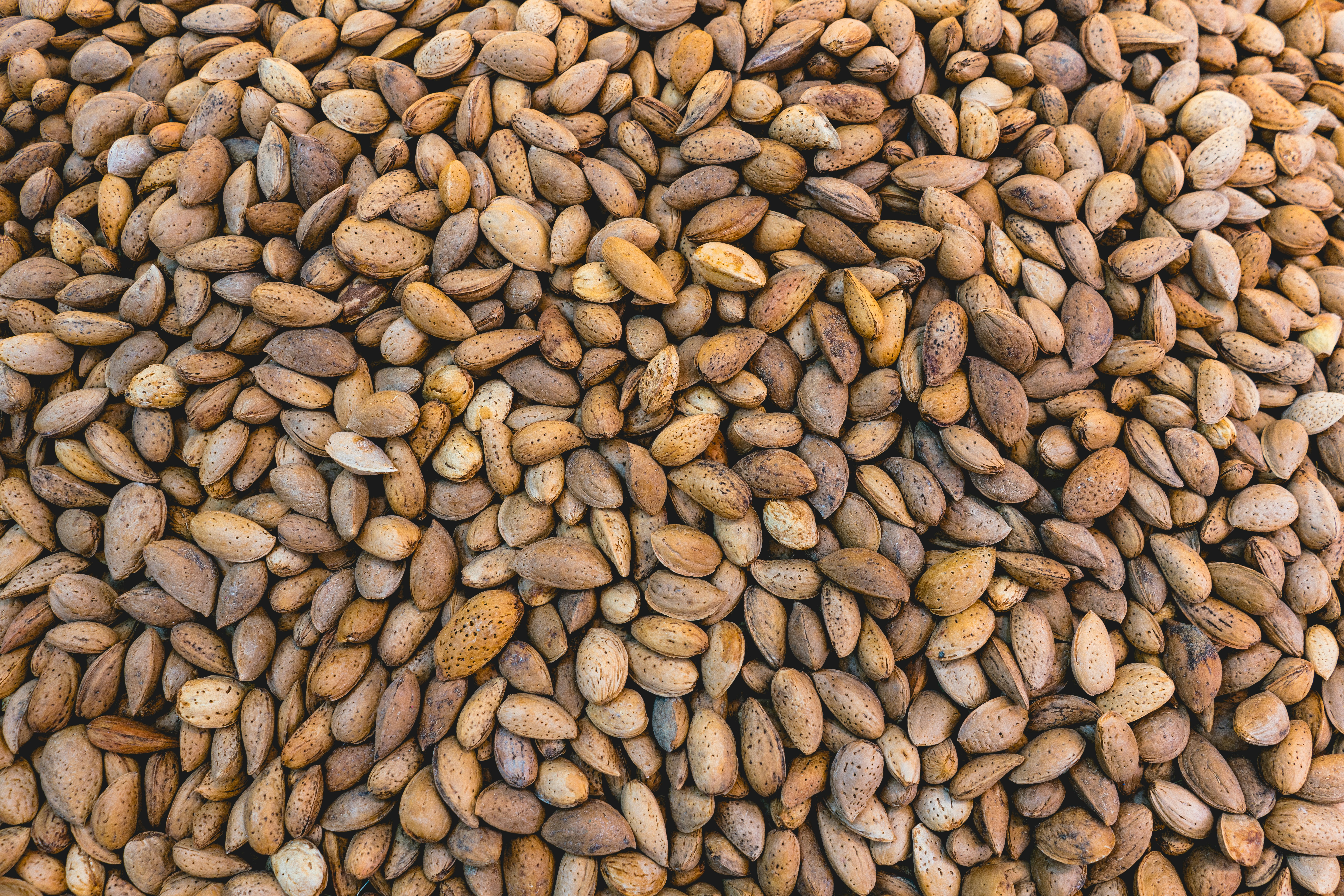 Photo by viditgoswami