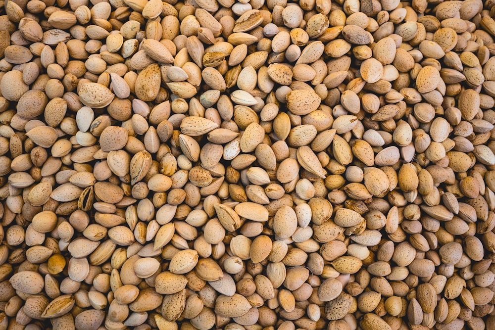 brown nuts