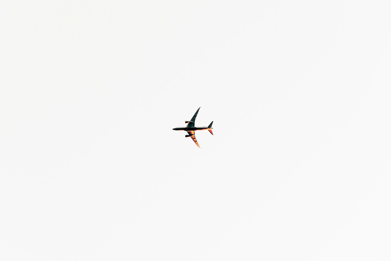 Sony a7R II + Sony Vario Tessar T* FE 24-70mm F4 ZA OSS sample photo. Black and gray airplane photography