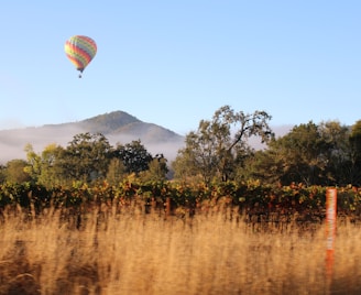 hot air balloon on under blue sky during daytime