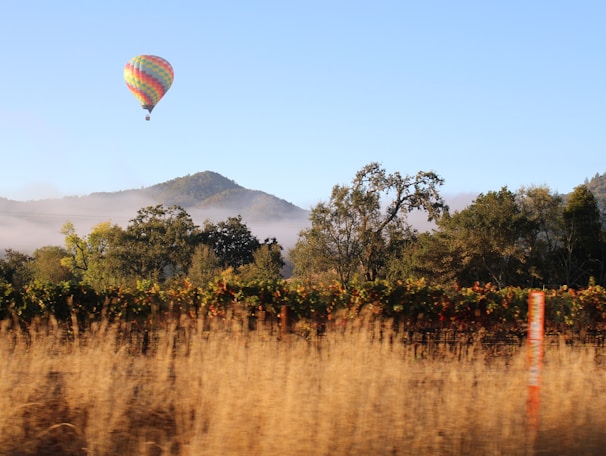 hot air balloon on under blue sky during daytime