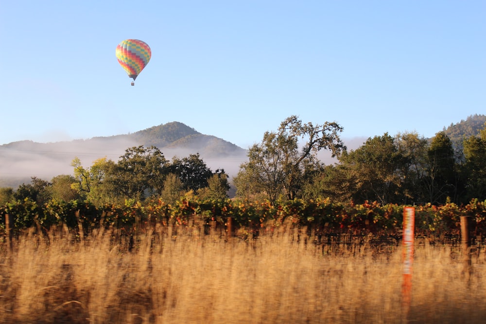 hot air balloon on under blue sky during daytime